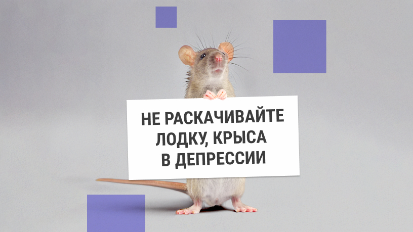 Why did evolution need depression and why don’t we need it now?