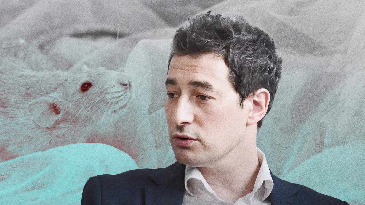 Добрались до мышей. Почему в США сокращают исследования на животных и как это скажется на фармацевтической науке