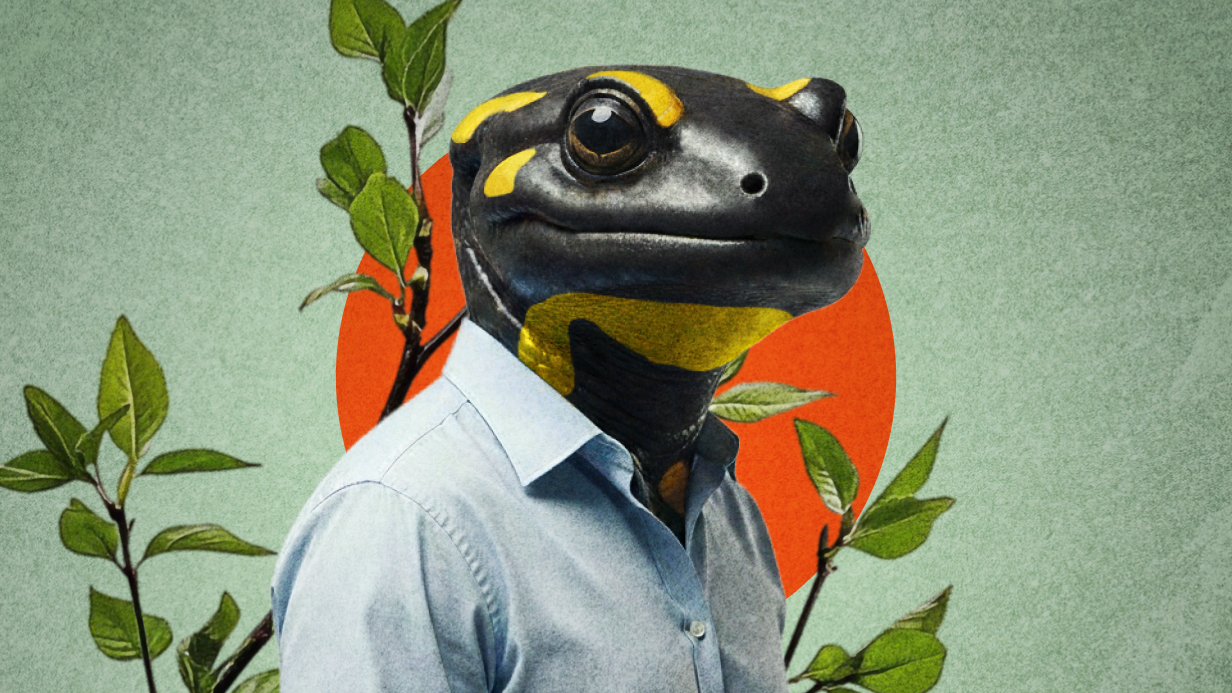 Человек-саламандра: как вернуть потерянные органы? 